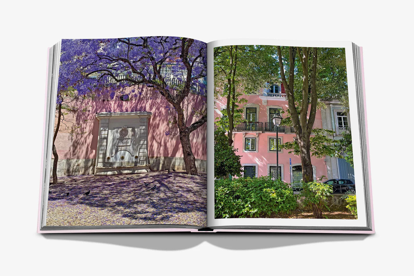  Lisboa Luz Book、mySite、sugarbowlscore