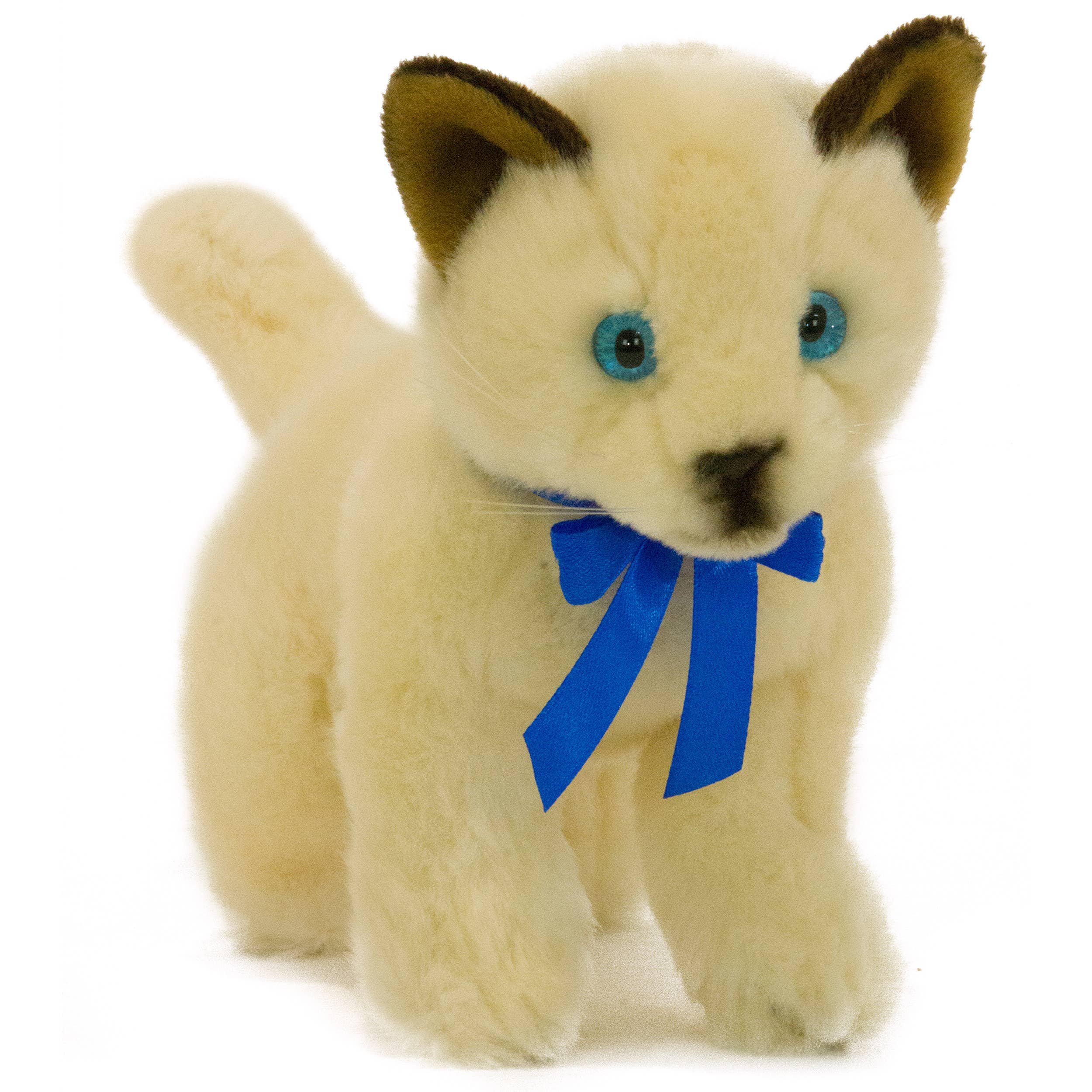 Seal Point Siamese Plush Kitten Realistic、mySite、g9winljtr