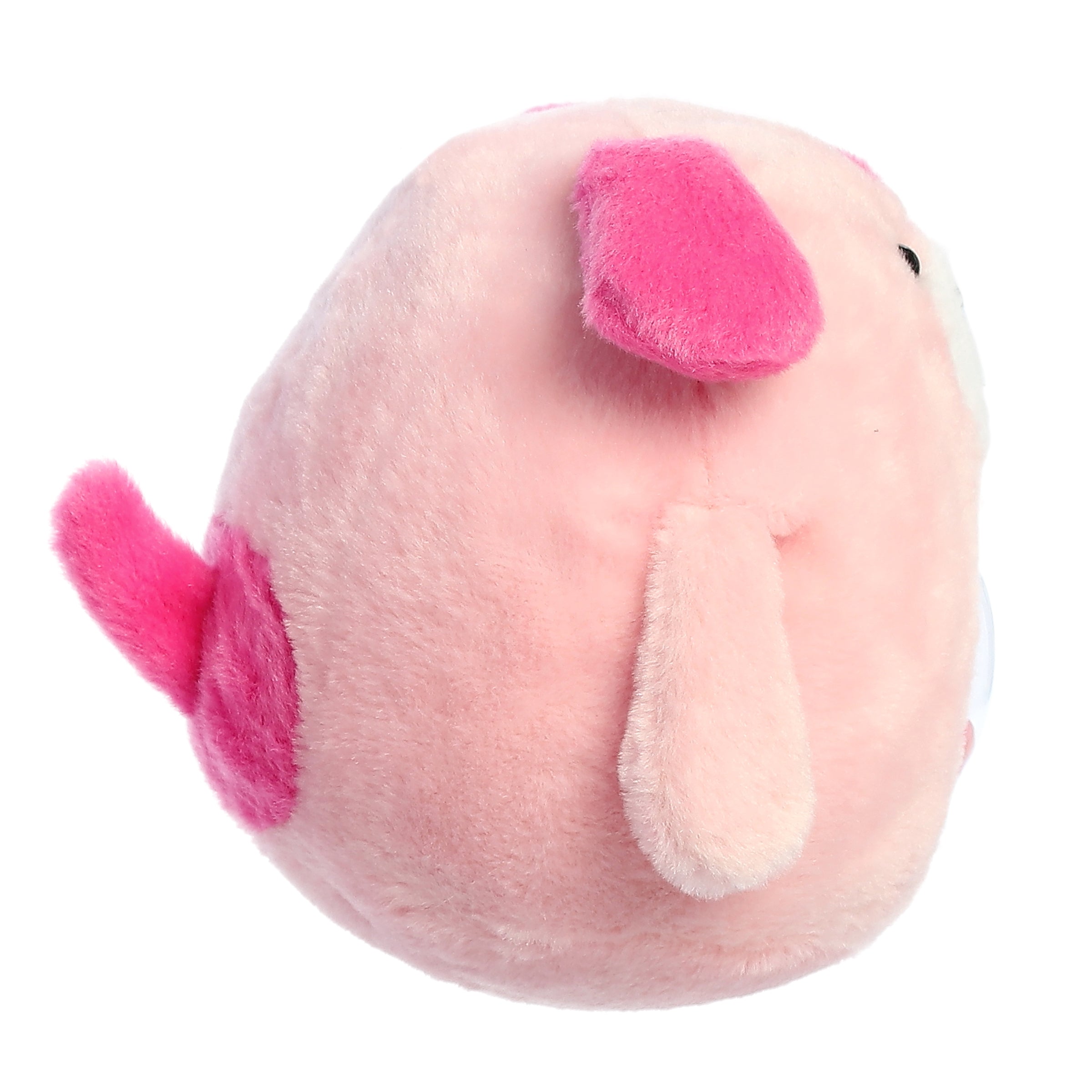 Aurora® - Shaker - 5 Love Dog、mySite、g9winljtr