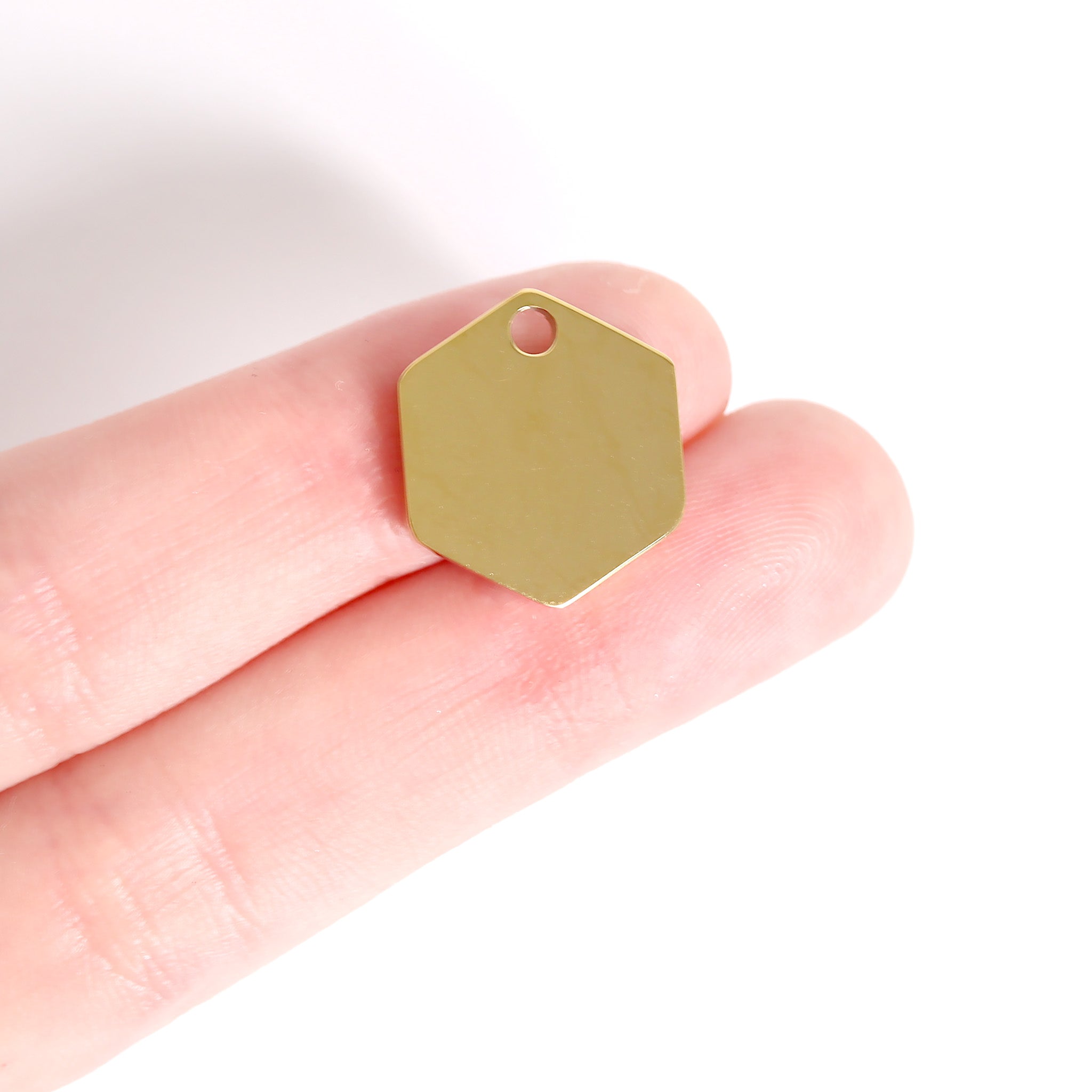 18K Gold PVD Stainless Steel Hexagon Pet Tag / PDL0132、mySite、dreamappss