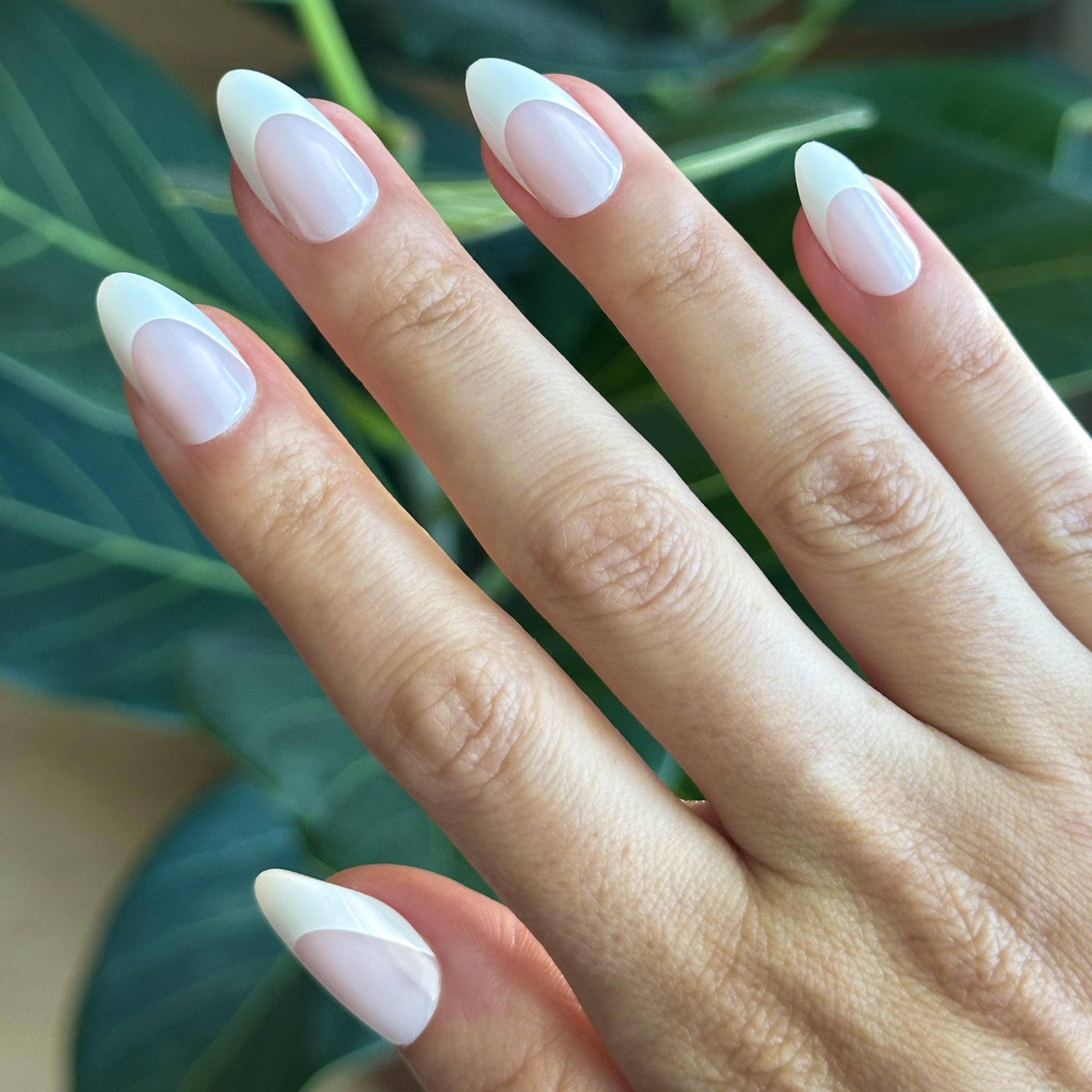 Thick French - Press-On | Medium | Almond、mySite、solidvoid