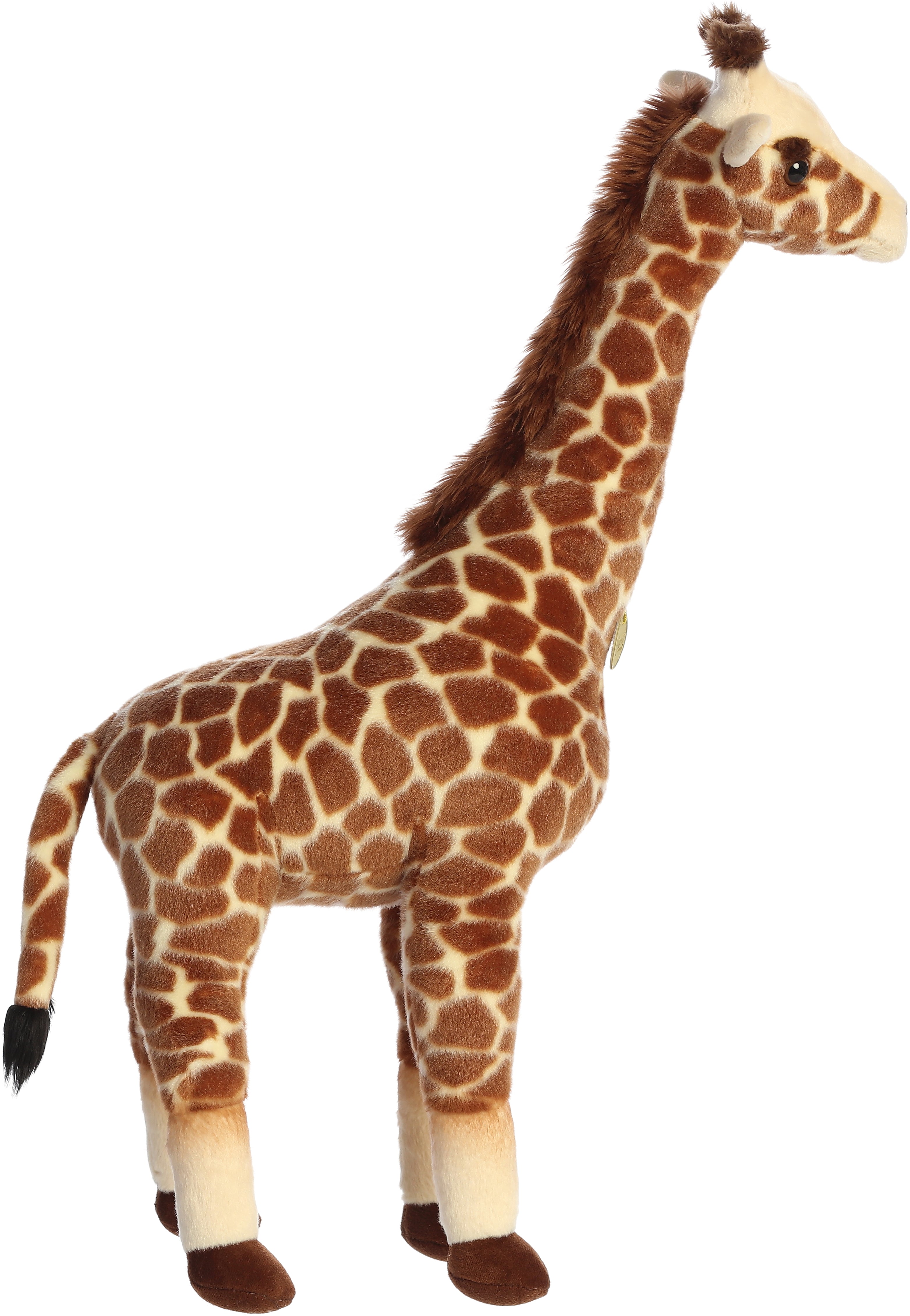 Aurora® - Miyoni® - Giraffe、mySite、g9winljtr