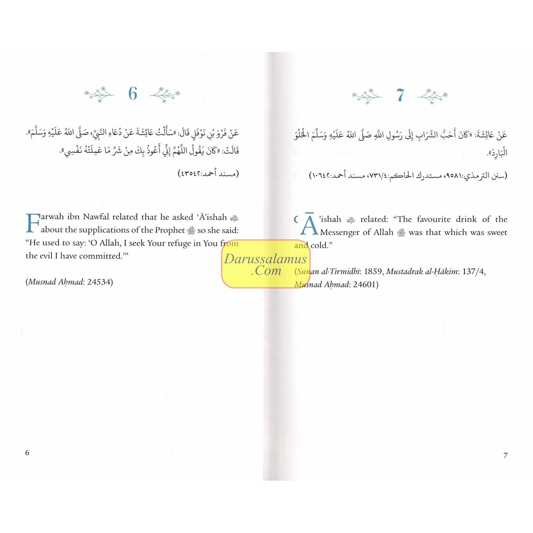 A Year with A'ishah (RA): The Mother of the Believers、mySite、topwebapps