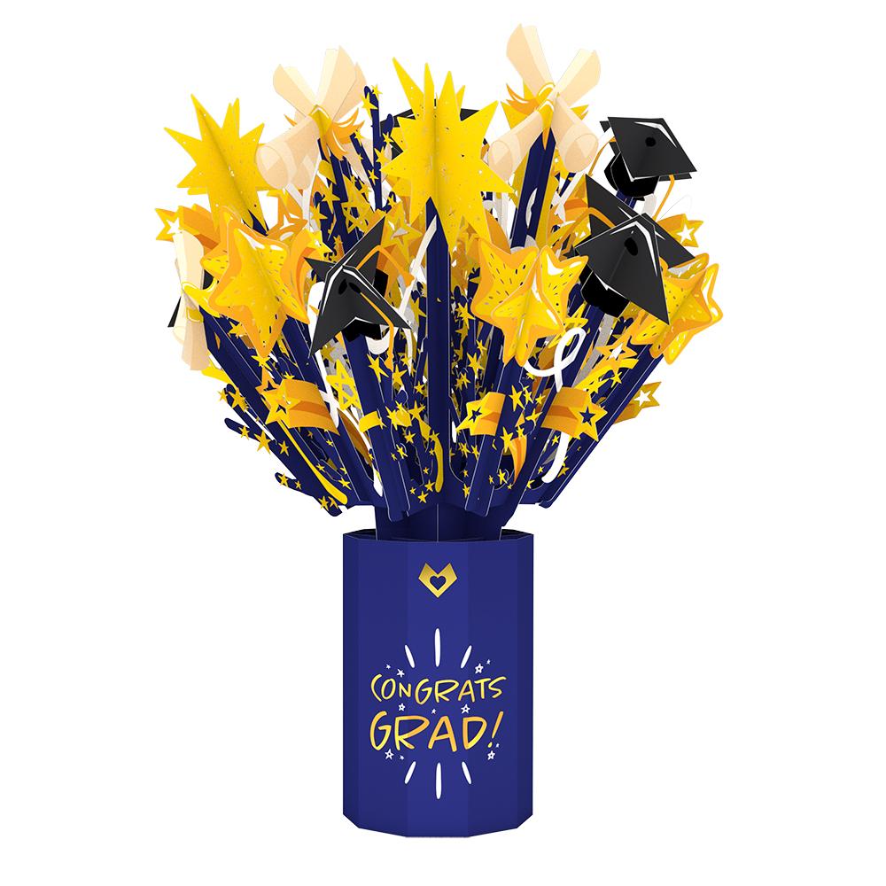 Graduation Bundle、mySite、solidvoid