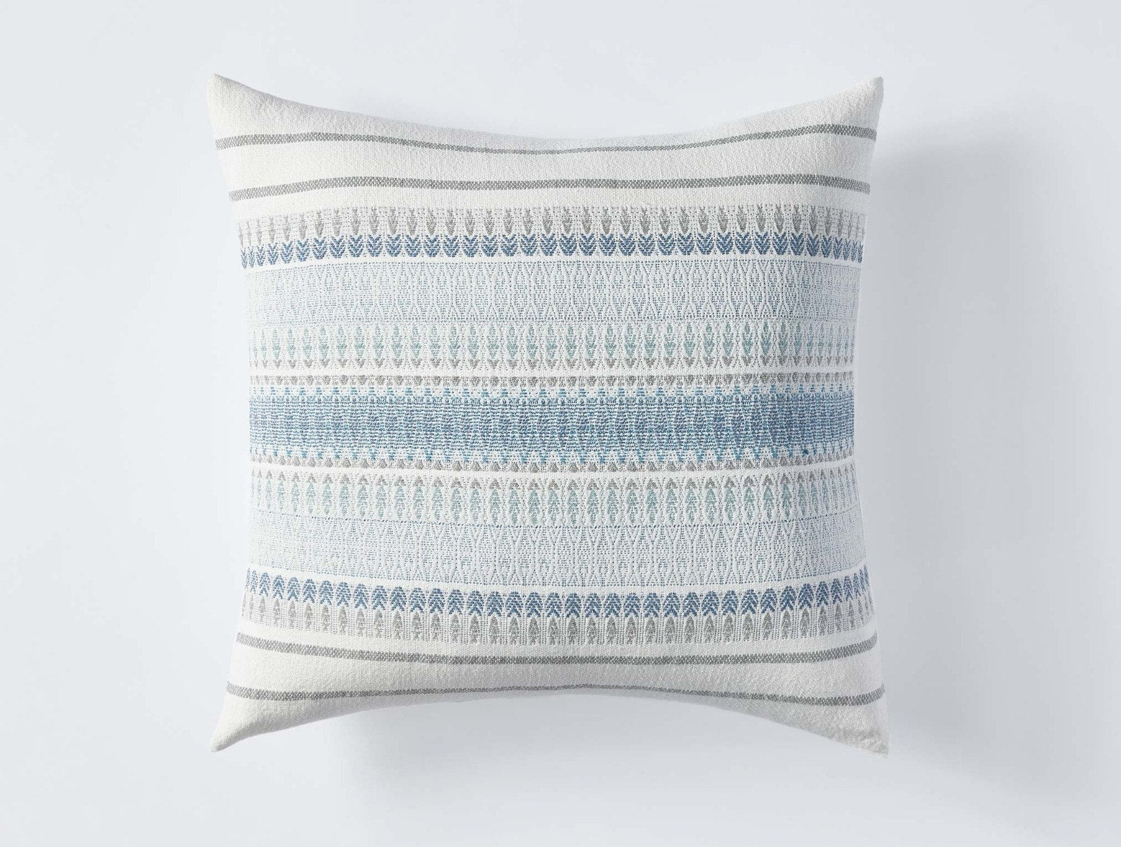  Lost Coast Decorative Organic Pillow Cover - Renewed、mySite、sugarbowlscore