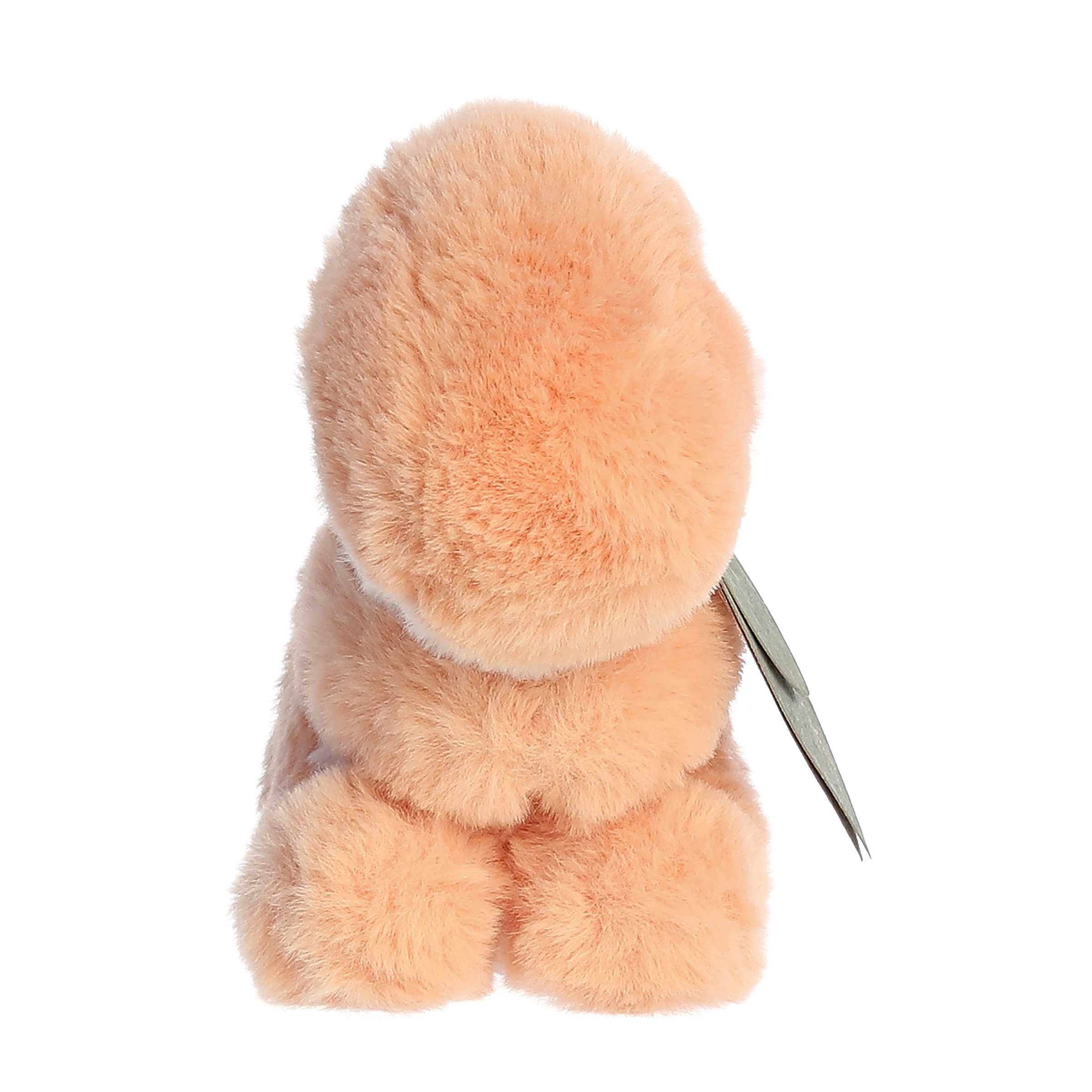 ebba™ - Eco ebba™ - 5.5 Edan Edaph Rattle™、mySite、g9winljtr