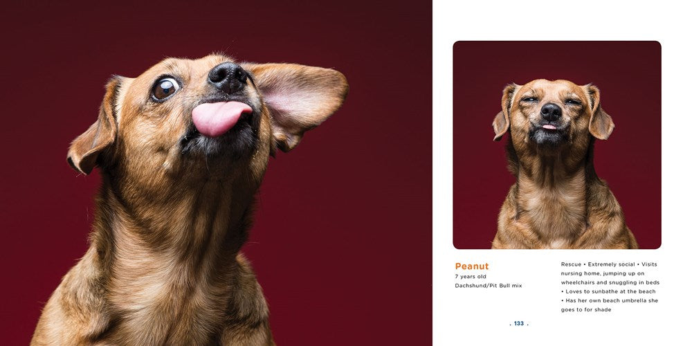 Peanut Butter Dogs、mySite、g9winljtr