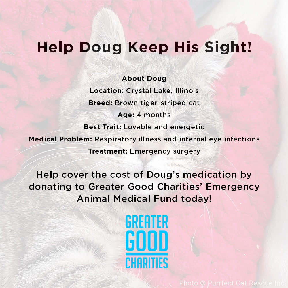 Funded - Help Doug Keep His Sight、mySite、camillekostekn