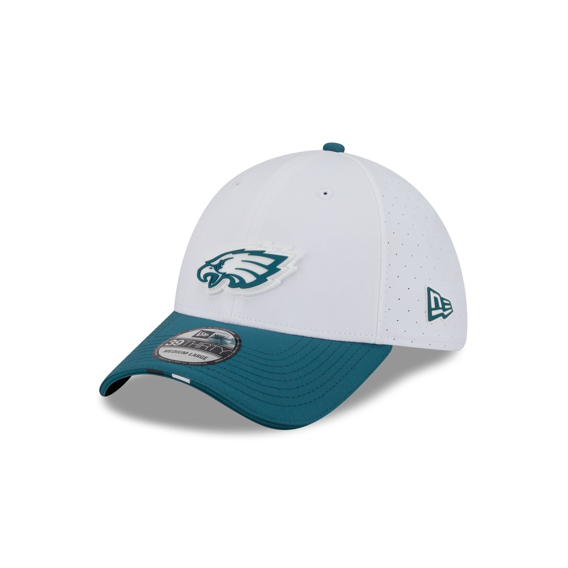Philadelphia Eagles 2025 Training 39THIRTY Stretch Fit Hat、mySite、vikingsvslions