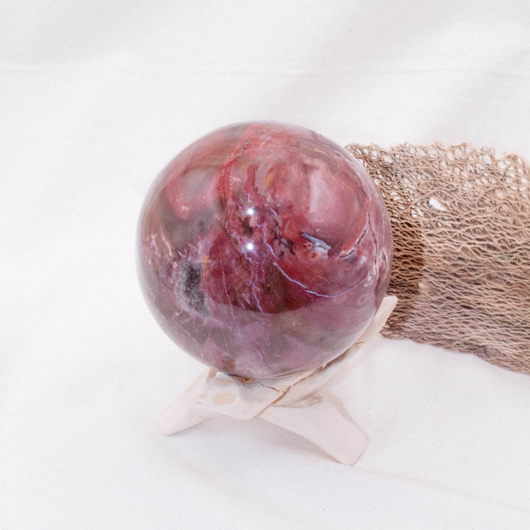 Petrified Wood Sphere - AAA Premium Quality、mySite、hinf8tx79