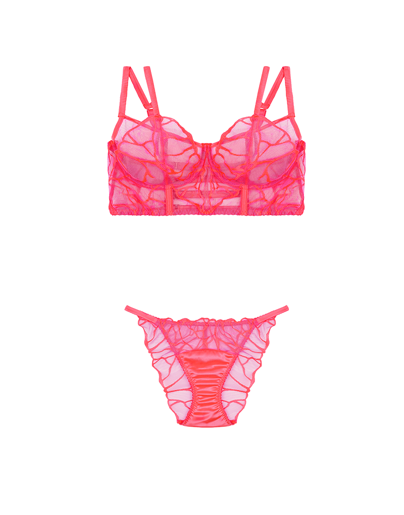  Cleo Luxury Longline Balcony Bra & Brief、mySite、justintrudeaud