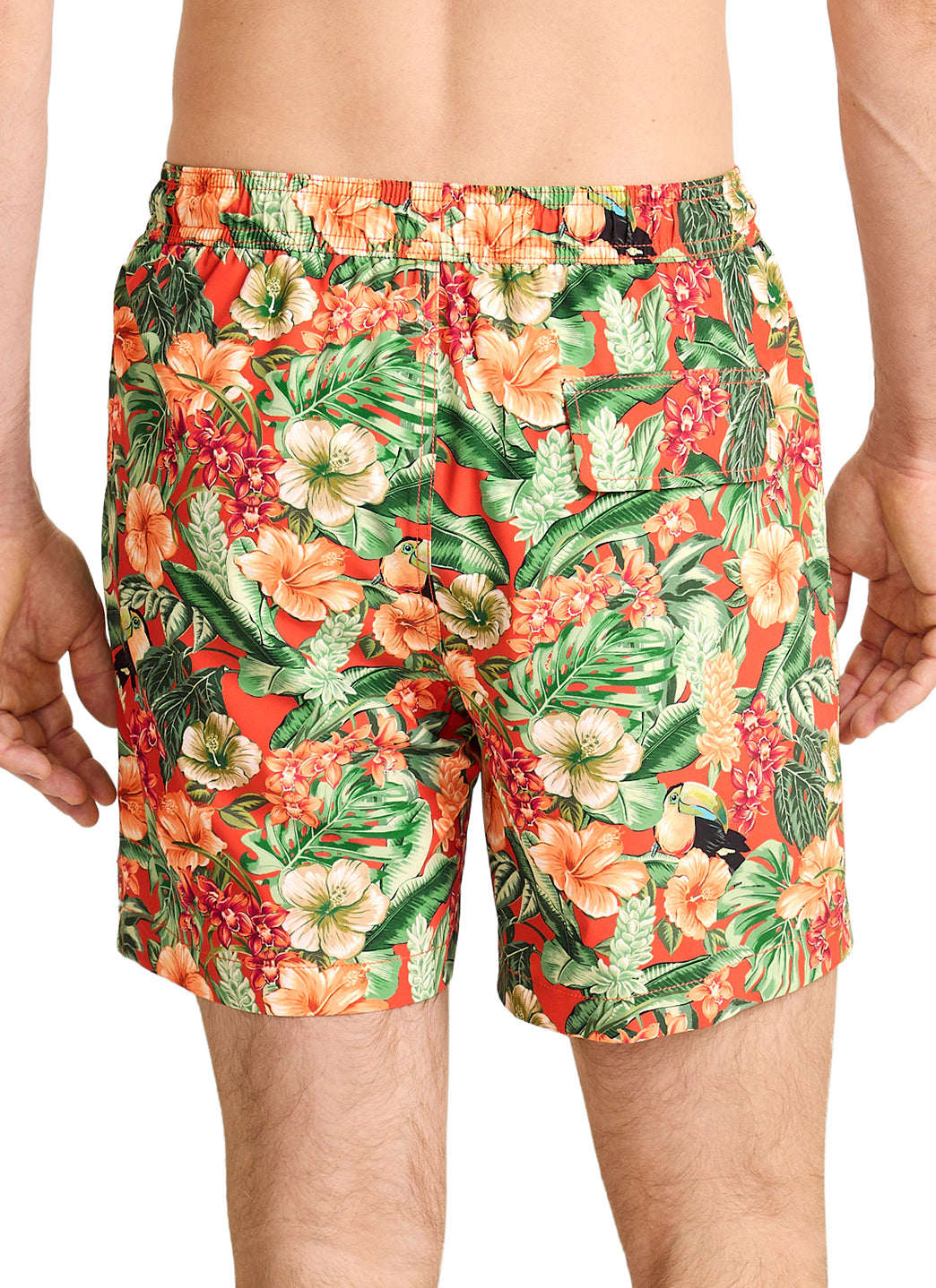 Tommy Bahama Men's Naples Toucan Paradise 6 Inseam Swim Trunks、mySite、noshort