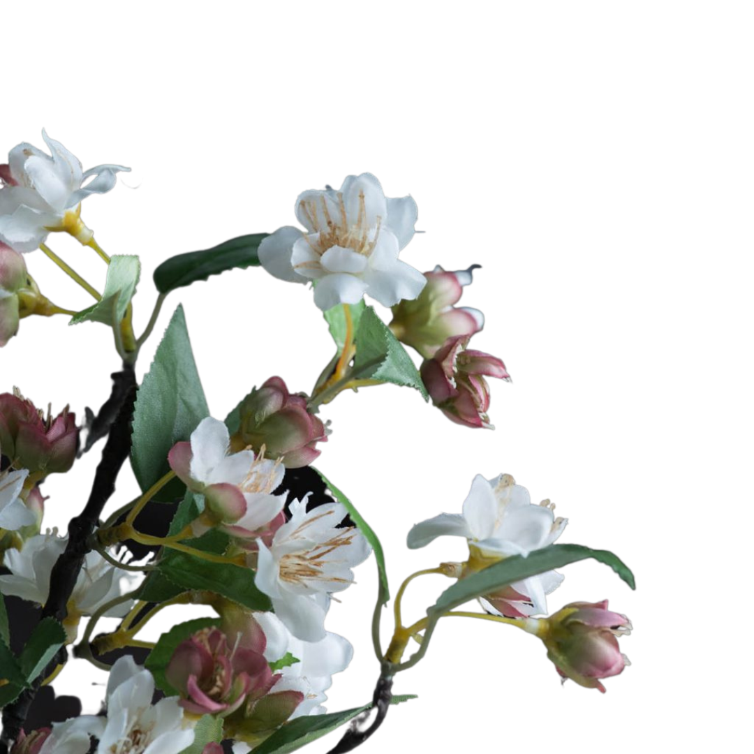  Blossom Stem、mySite、elrpsem3k