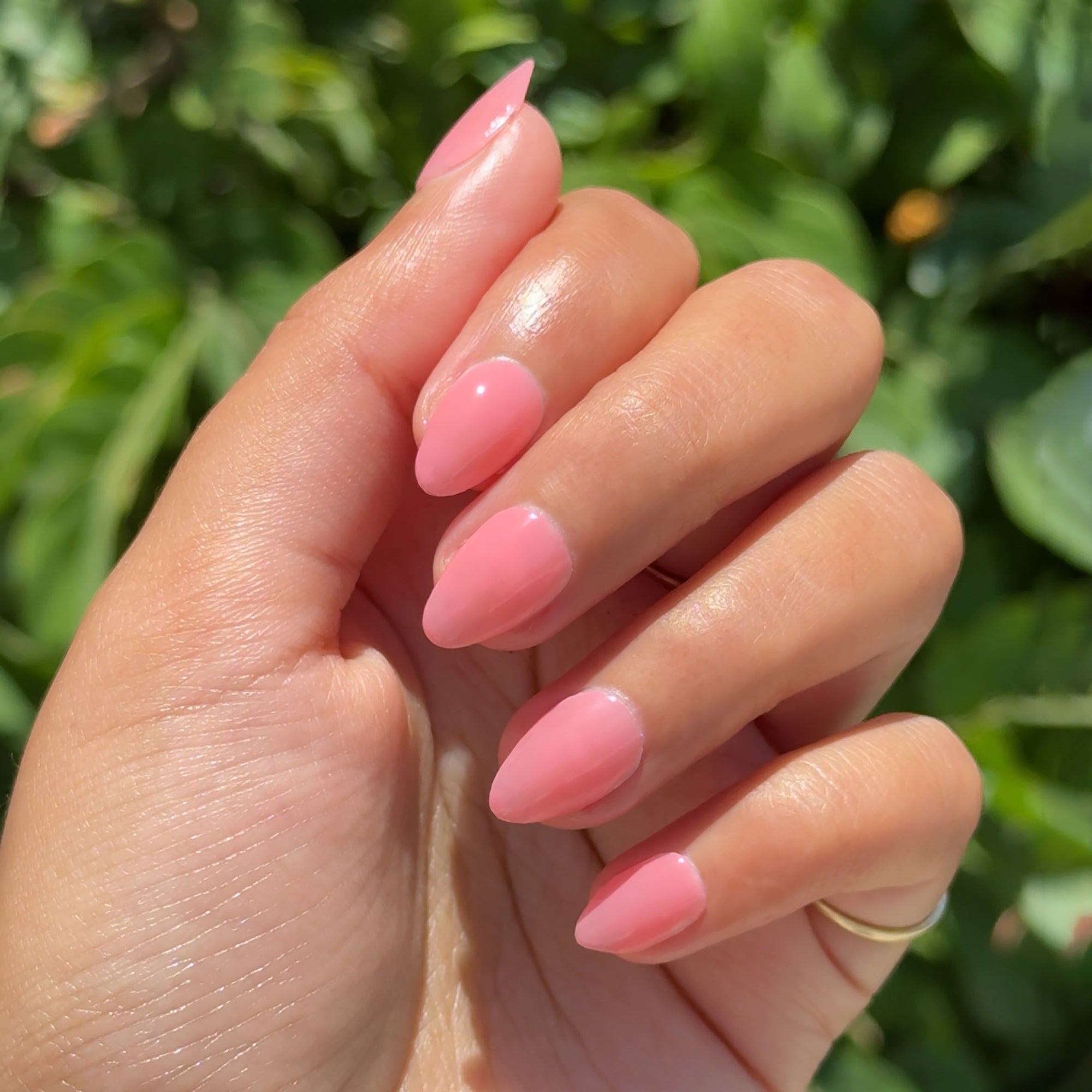 Papaya Gloss、mySite、solidvoid