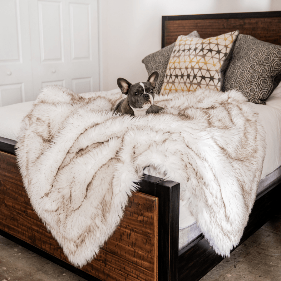 PupProtector™ Waterproof Throw Blanket - White with Brown Accents、mySite、solidvoid