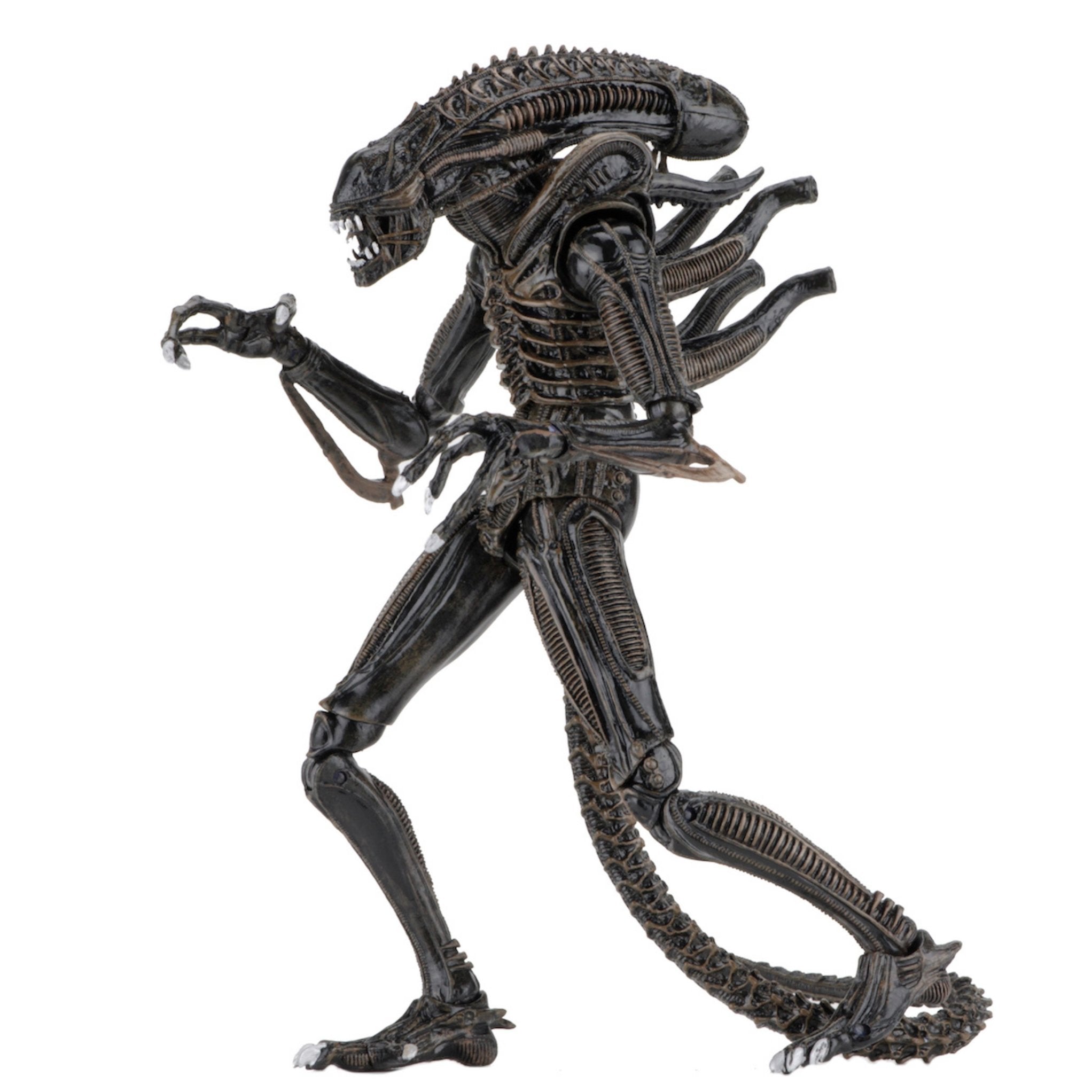 NECA Ultimate Aliens Warrior (Brown)、mySite、hgirdovlk