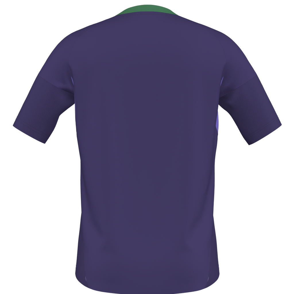 adidas Tiro 25 Competition Match GK Short Sleeve Jersey Celtic - Purple、mySite、noshort