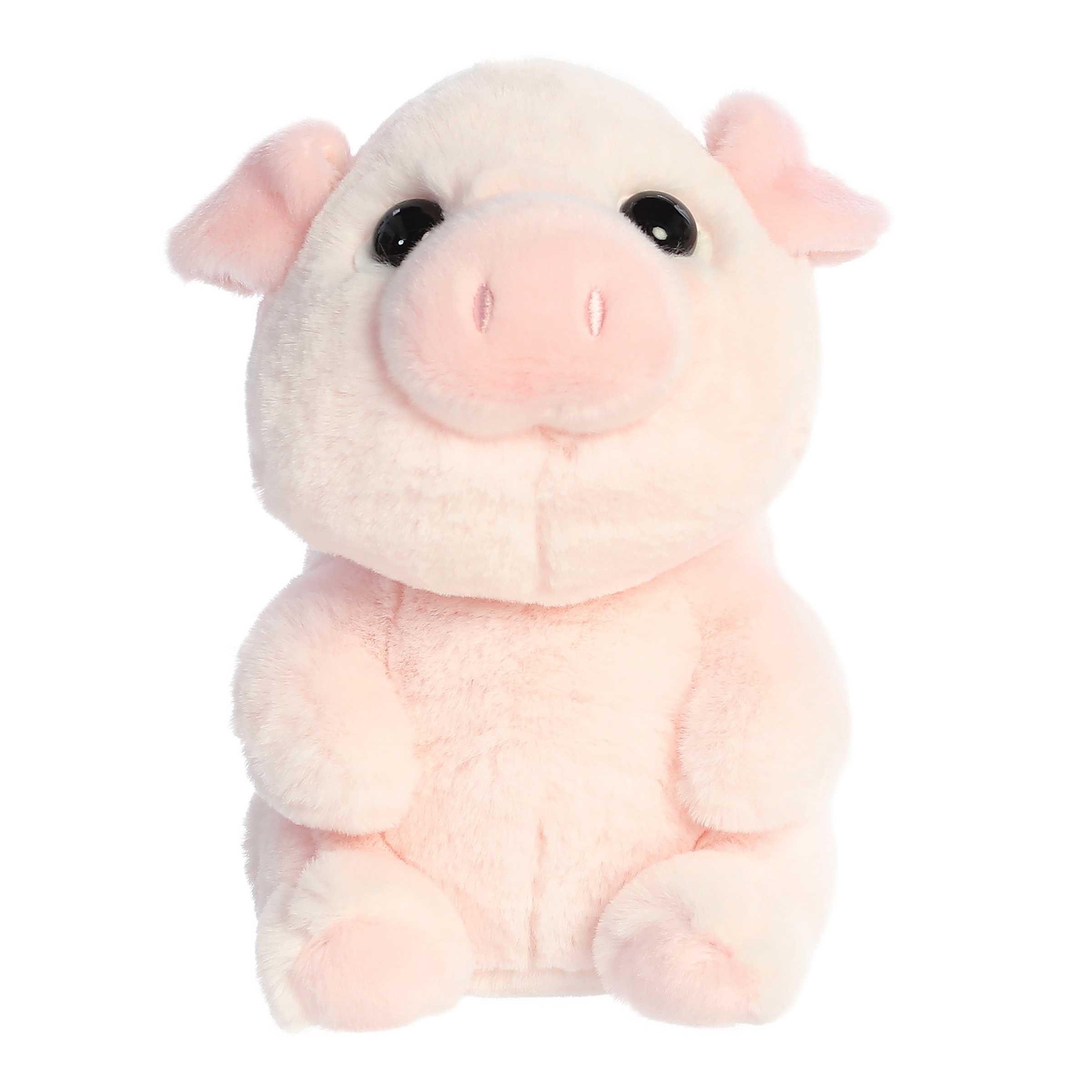 Aurora® - Boop™ - 9 Petunia™、mySite、g9winljtr