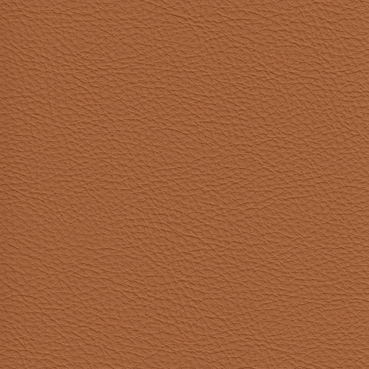 Grade A: Matera MR688、mySite、neckold