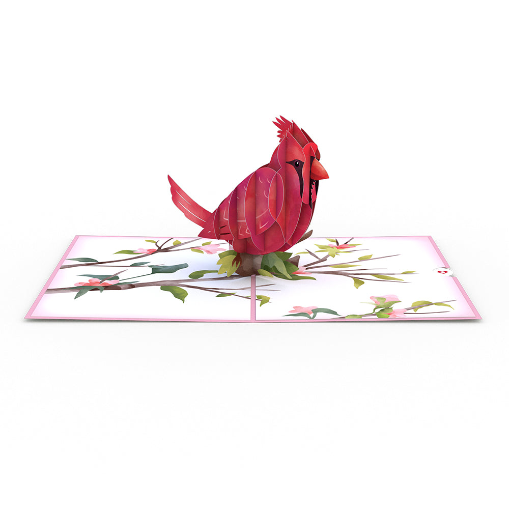 Mother's Day Cardinal Pop-Up Card、mySite、solidvoid