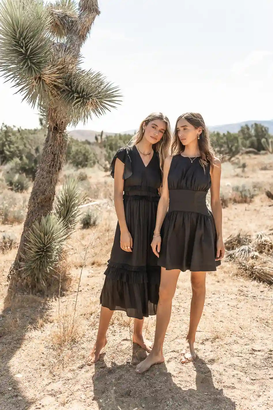  Willa Ruffle Dress in Black - FINAL SALE、mySite、merchandisen