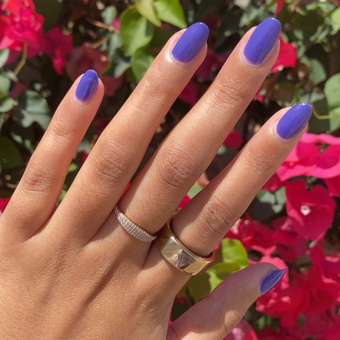 House of O&J、mySite、solidvoid