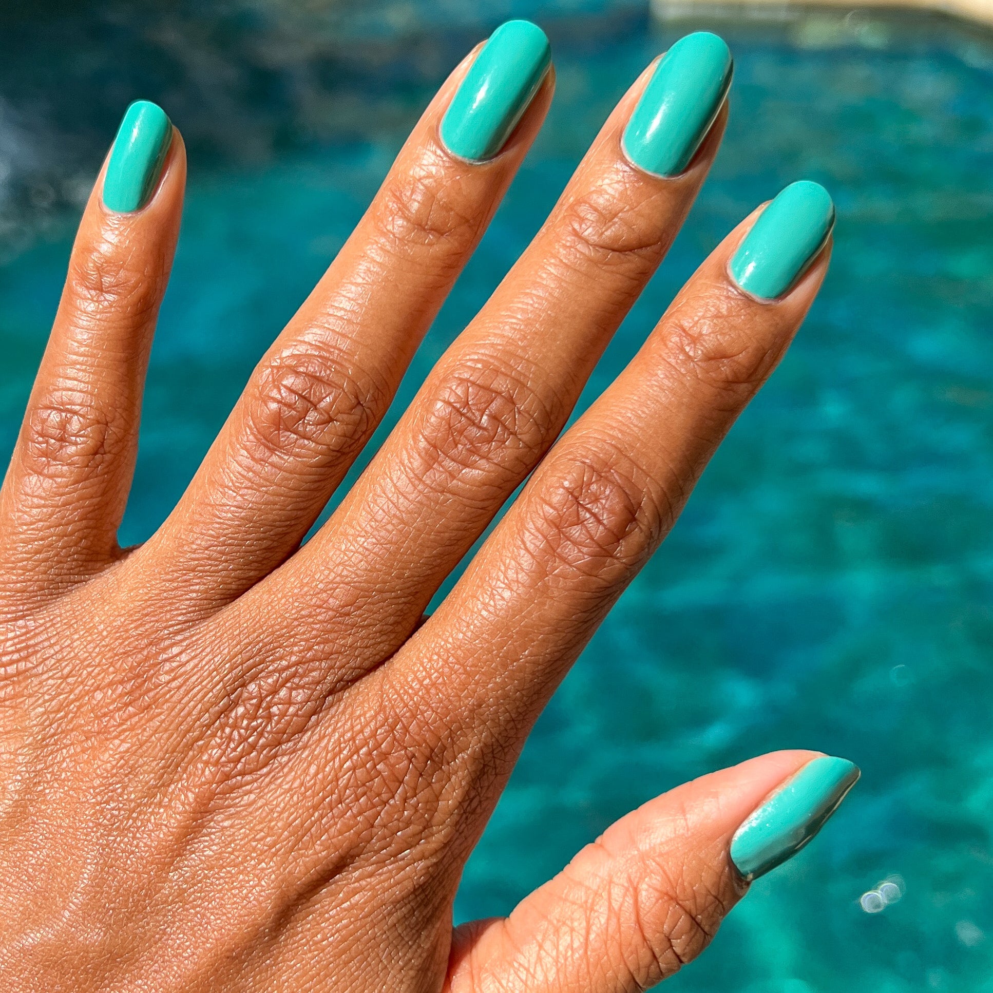 Green Canteen、mySite、solidvoid