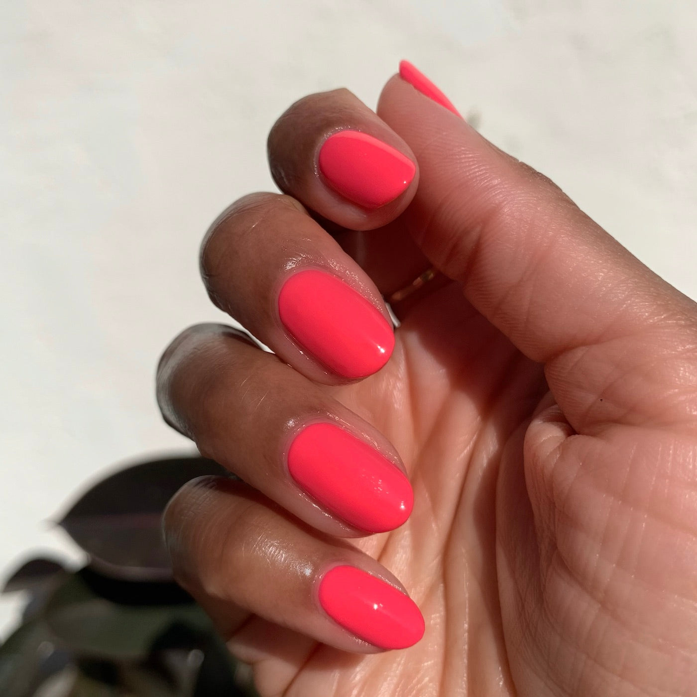 Hot Strawberry、mySite、solidvoid