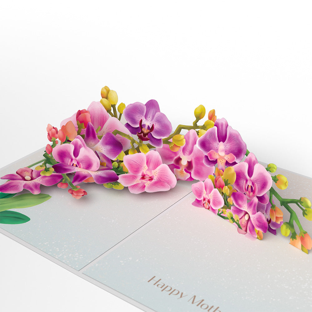 Mother’s Day Orchid Pop-Up Card、mySite、solidvoid