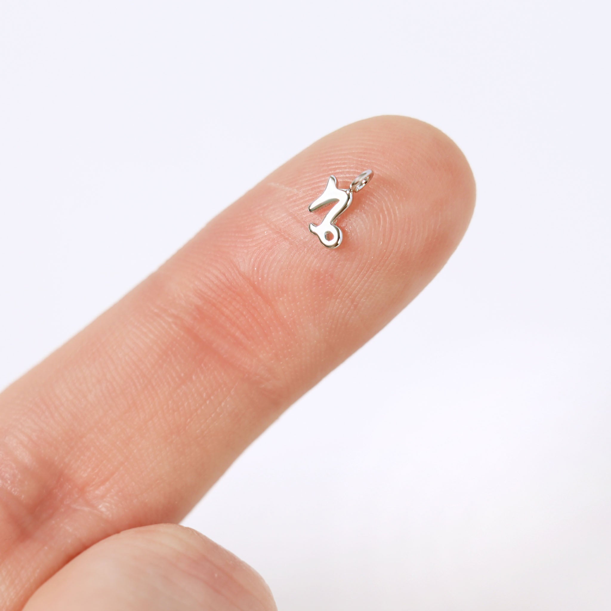 Permanent Jewelry .925 Sterling Silver Zodiac Charms / PMJ3011、mySite、dreamappss