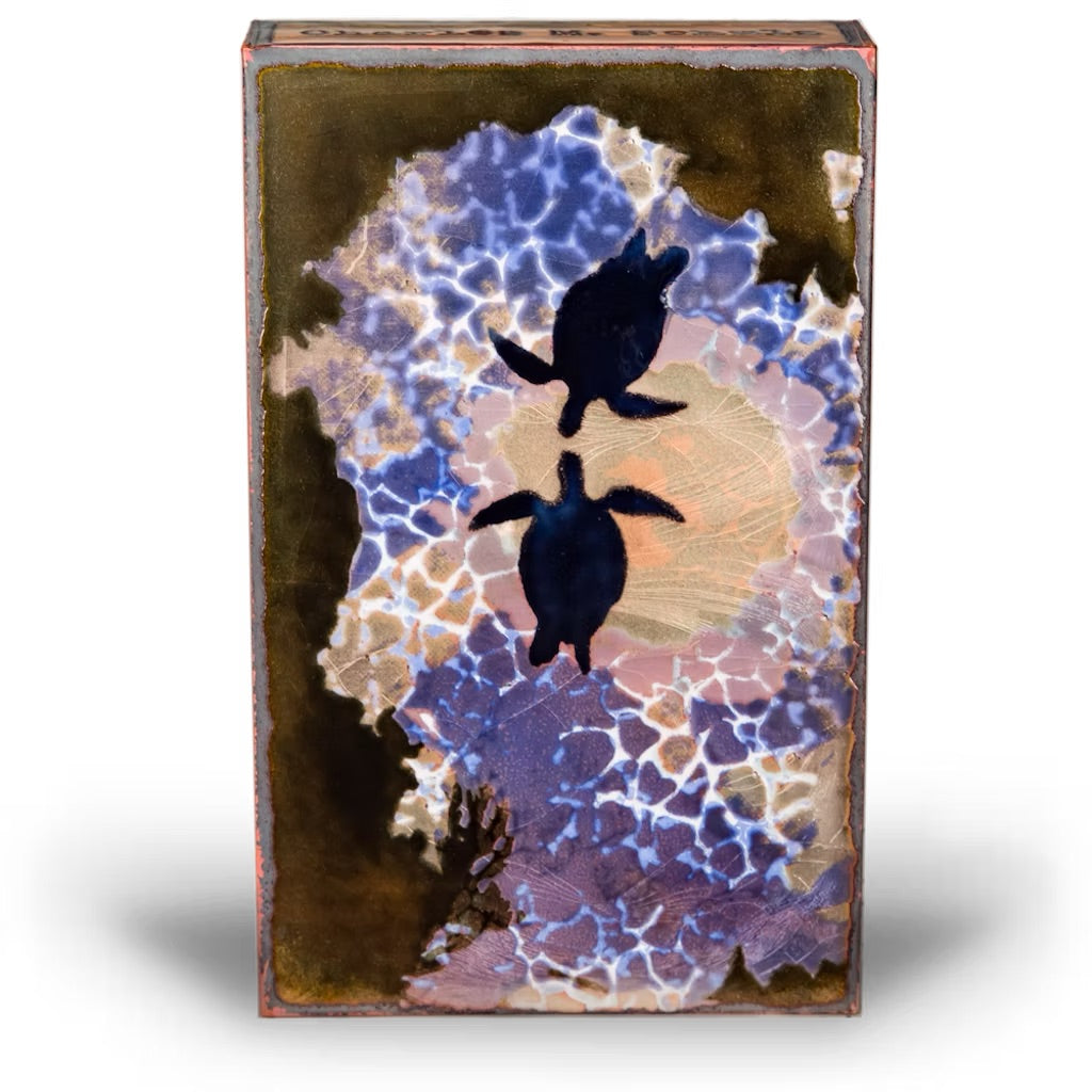 222: Sea Mate、mySite、g9winljtr