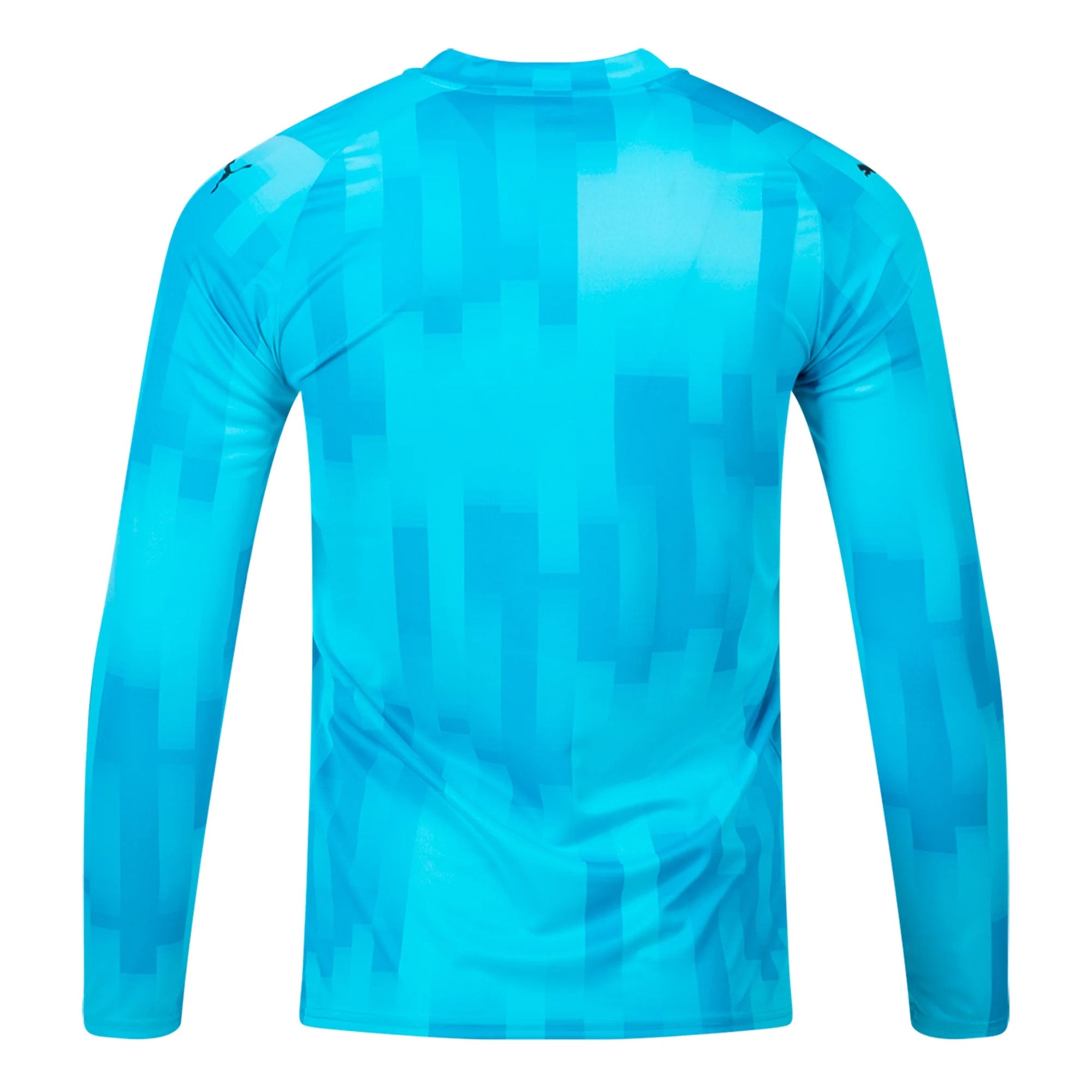 PUMA Men's Team Target Goalkeeper Long Sleeve Jersey Bright Aqua/Black、mySite、bottomscart