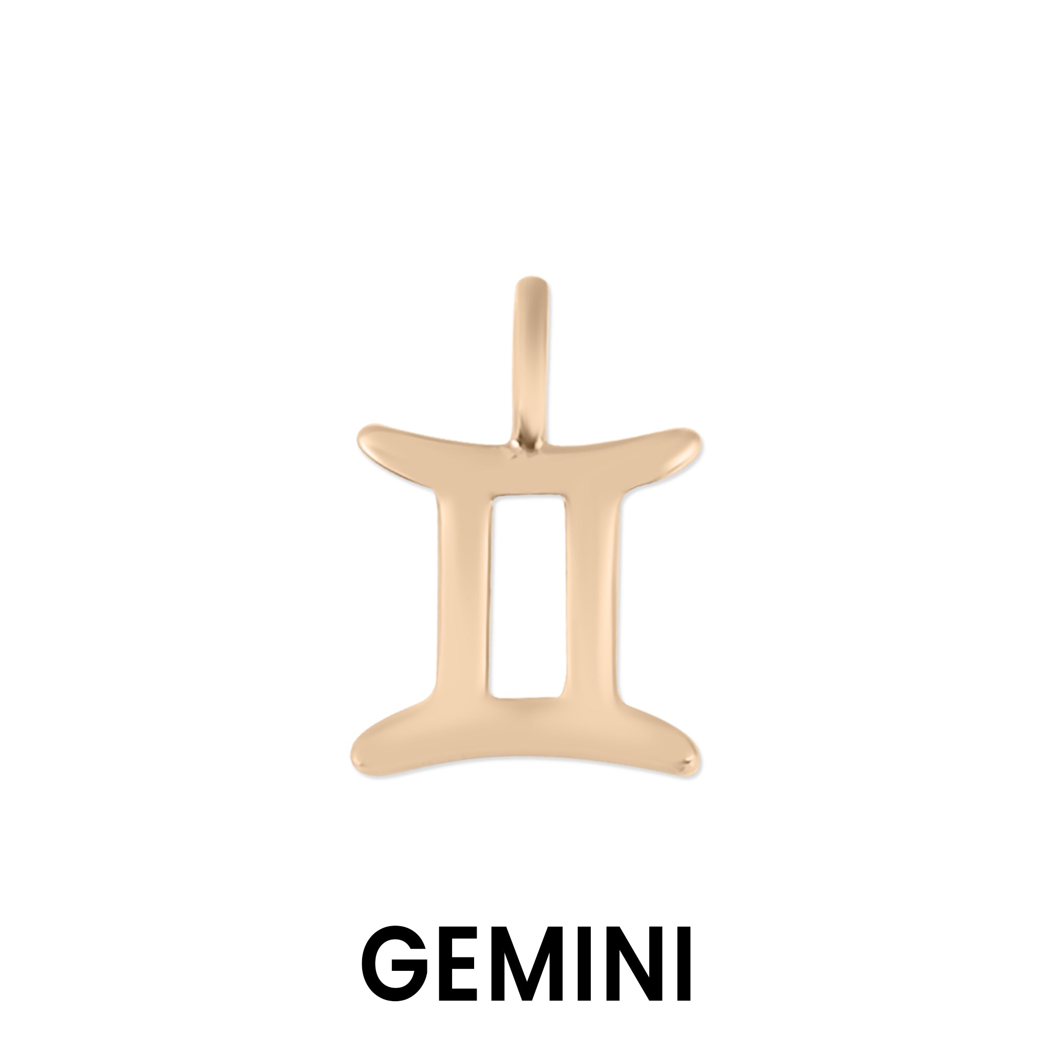 Permanent Jewelry 14K Solid Rose Gold Zodiac Charms / PMJ2009、mySite、dreamappss