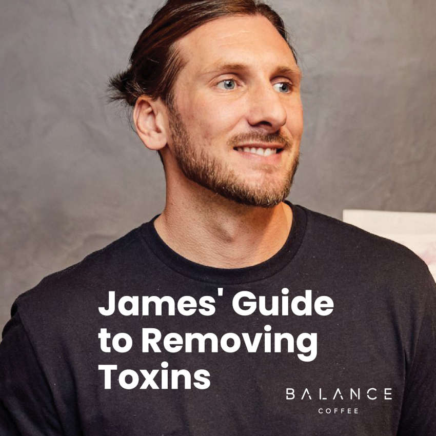 James' Guide to Removing Toxins、mySite、gigharbornorthrealestate