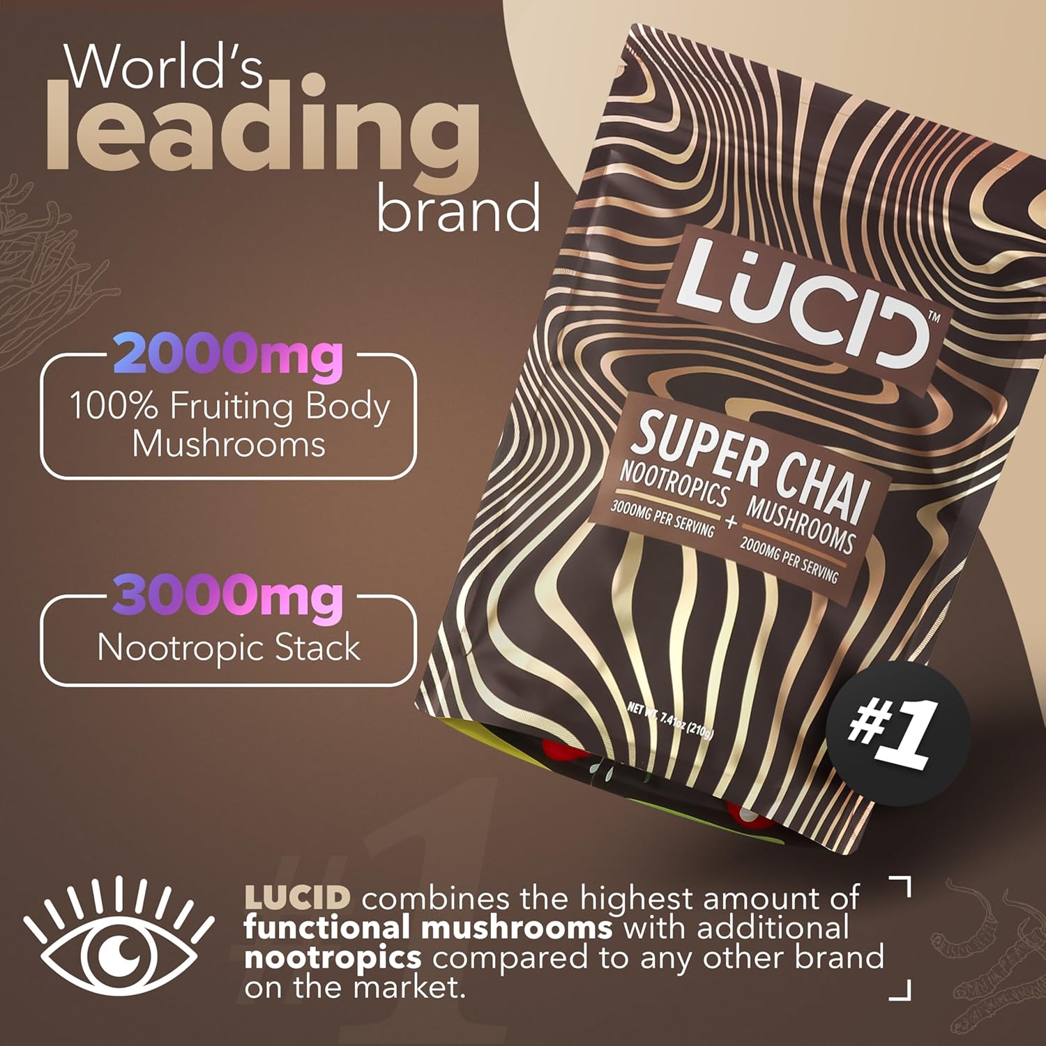 Lucid™ Nootropic+Mushroom Chai、mySite、gigharbornorthrealestate