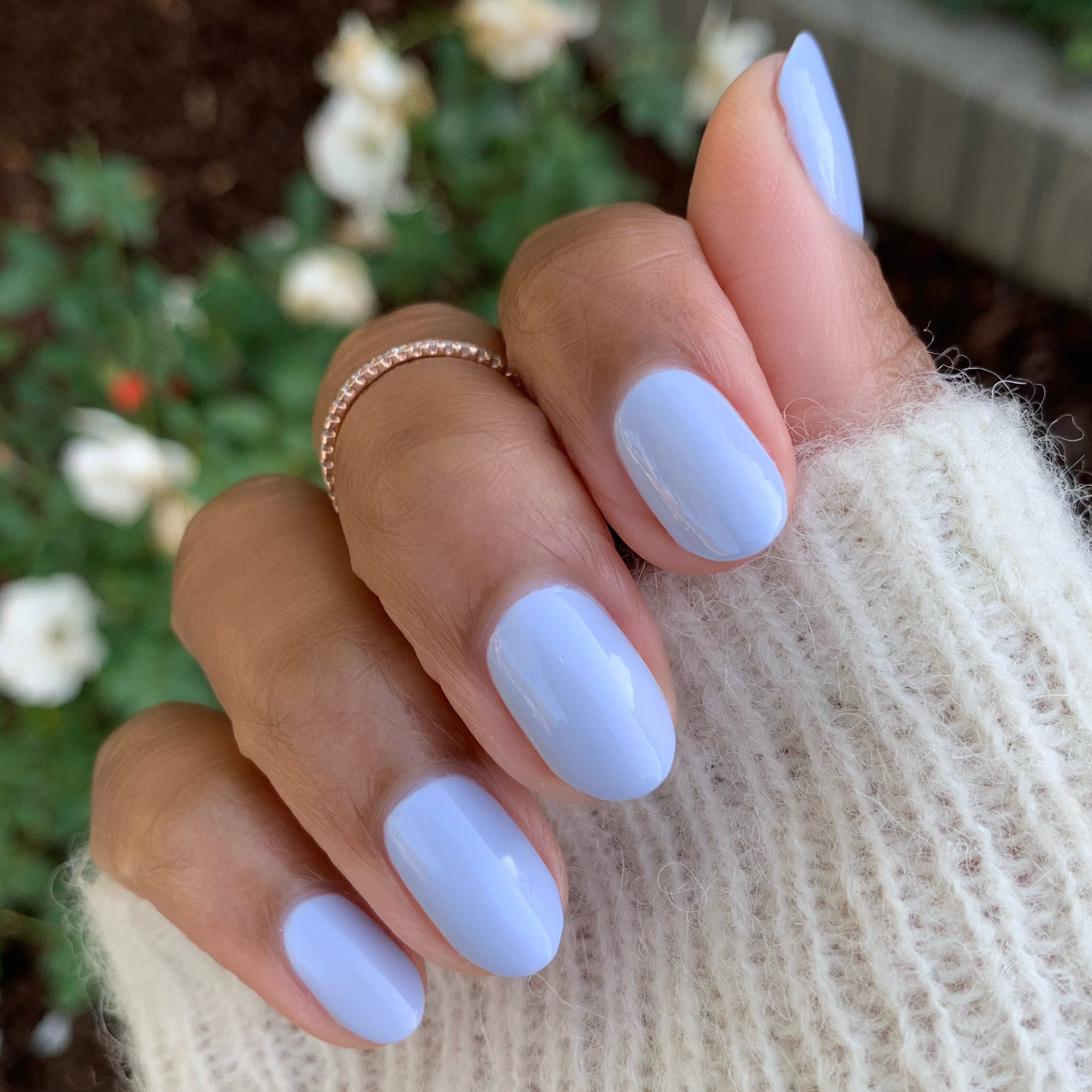 BP、mySite、solidvoid