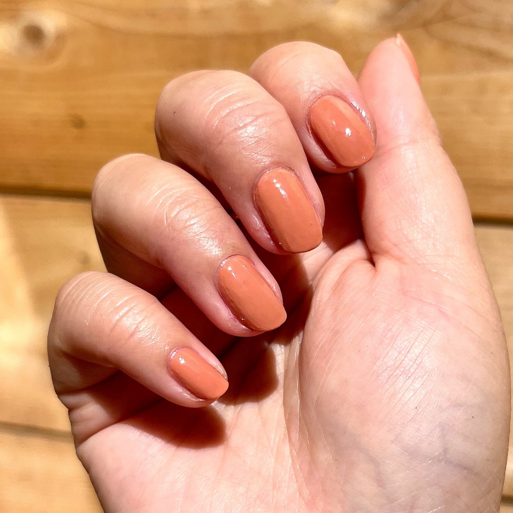 Canyon、mySite、solidvoid