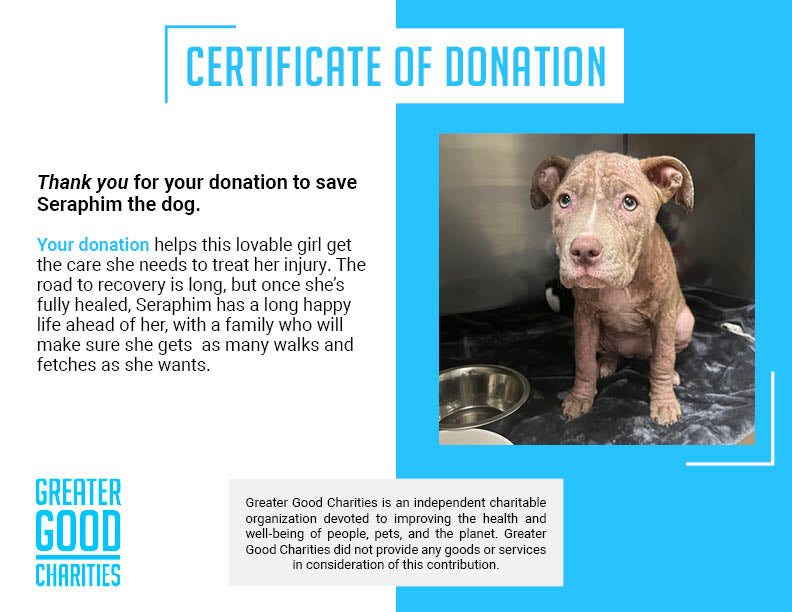 Funded - Save Seraphim's Skin From Mange、mySite、camillekostekn