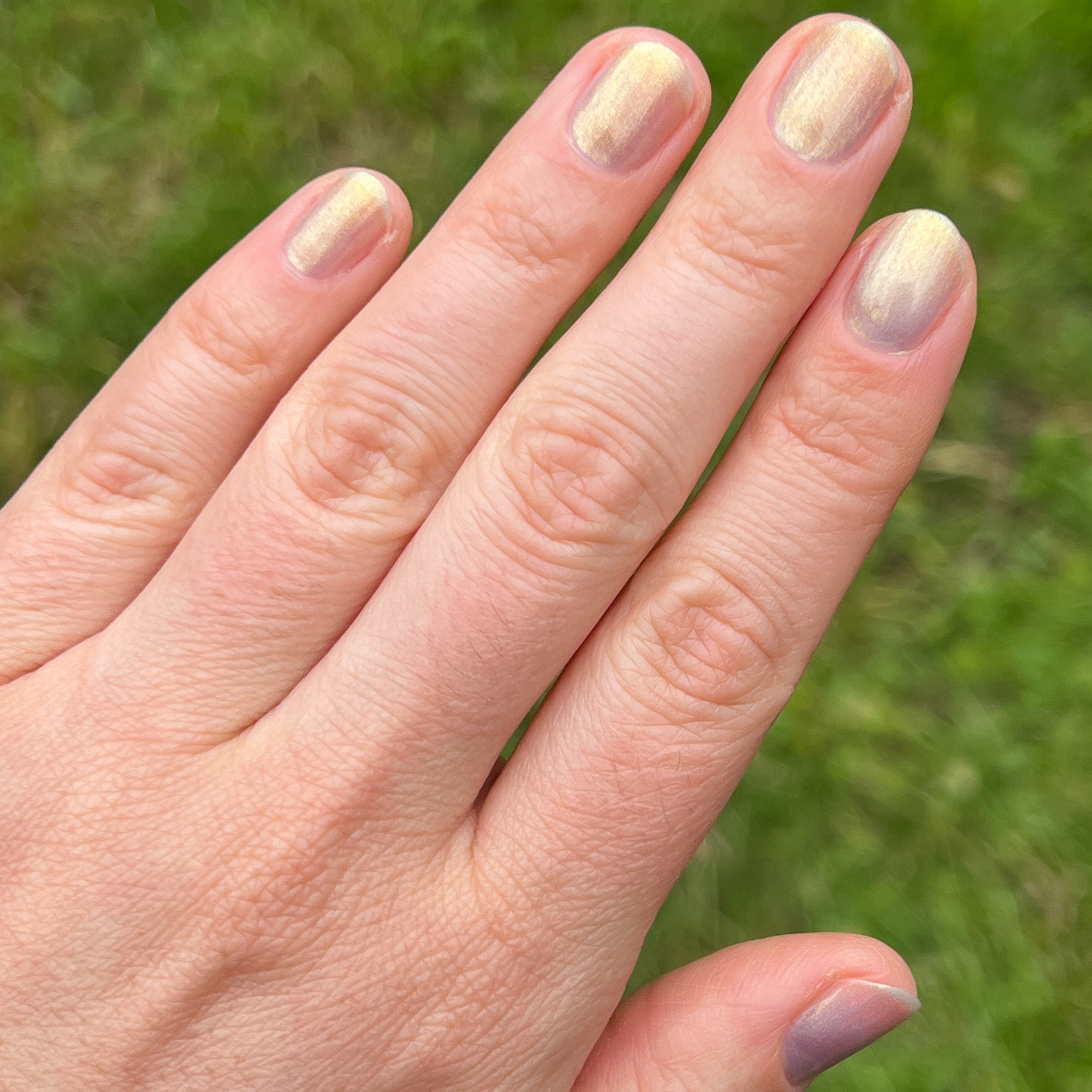 Internal - Shellphone bling、mySite、solidvoid