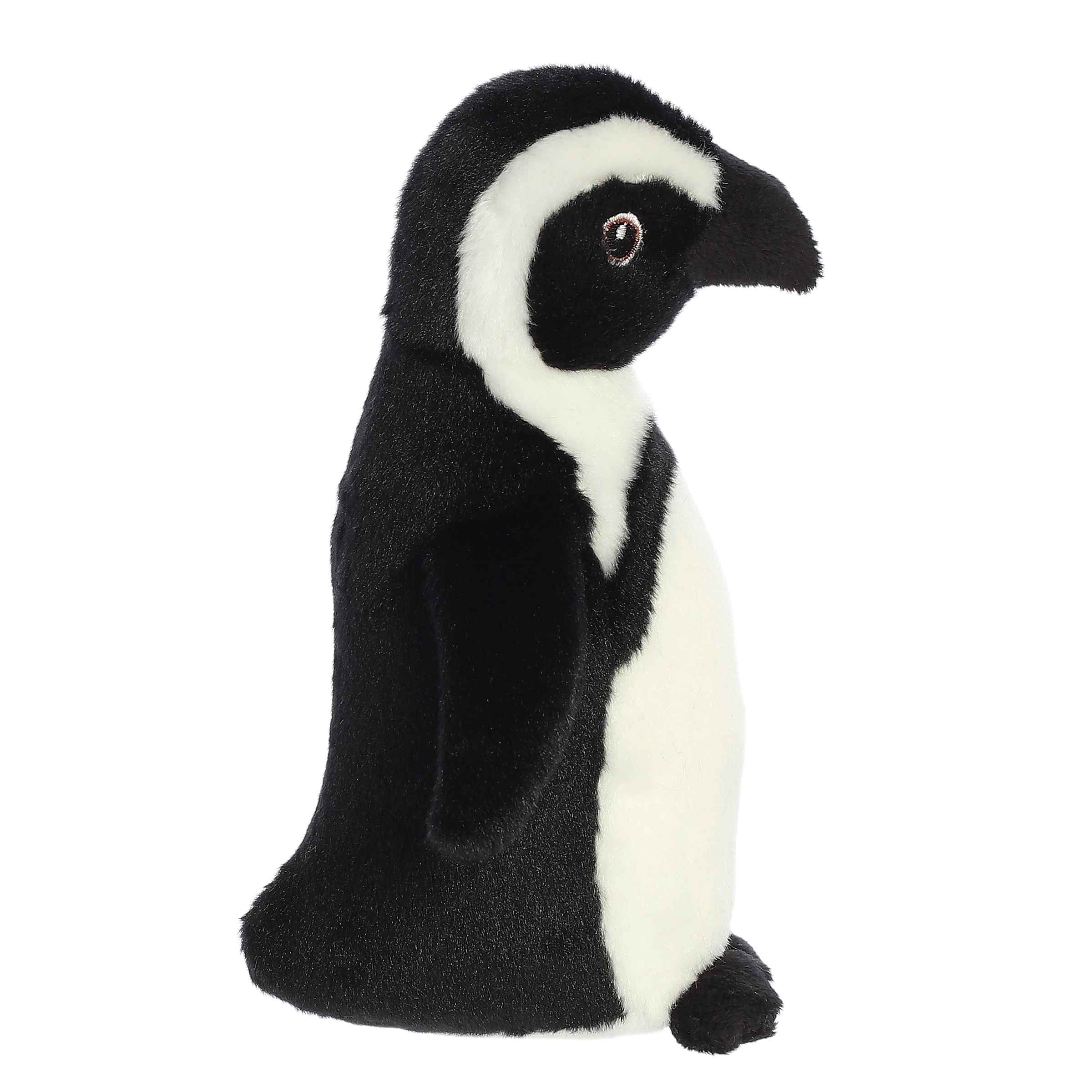Aurora® - Eco Nation™ - Eco Softies™ - 8 Black Footed Penguin、mySite、g9winljtr