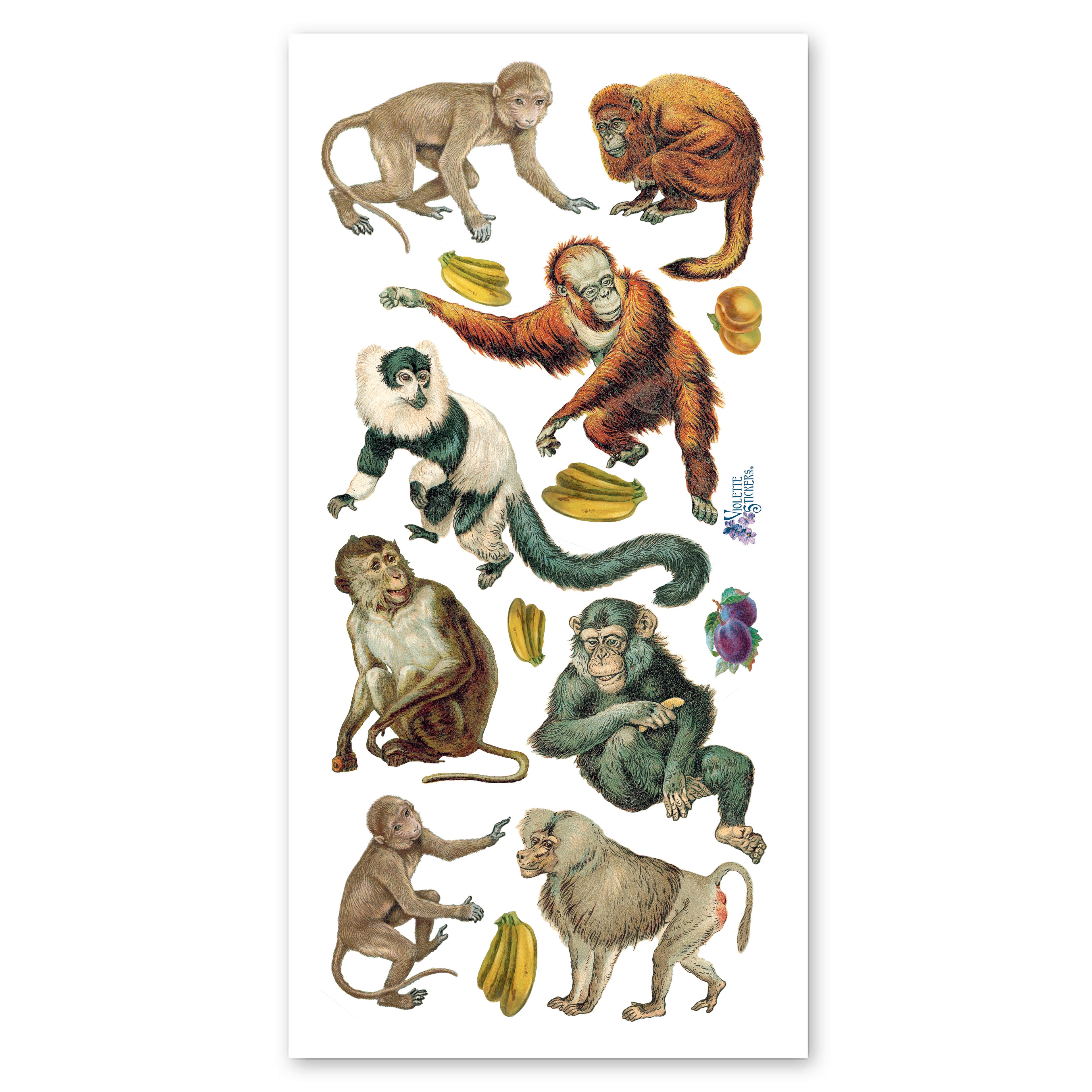  Apes & Monkeys Stickers、mySite、ghnorth