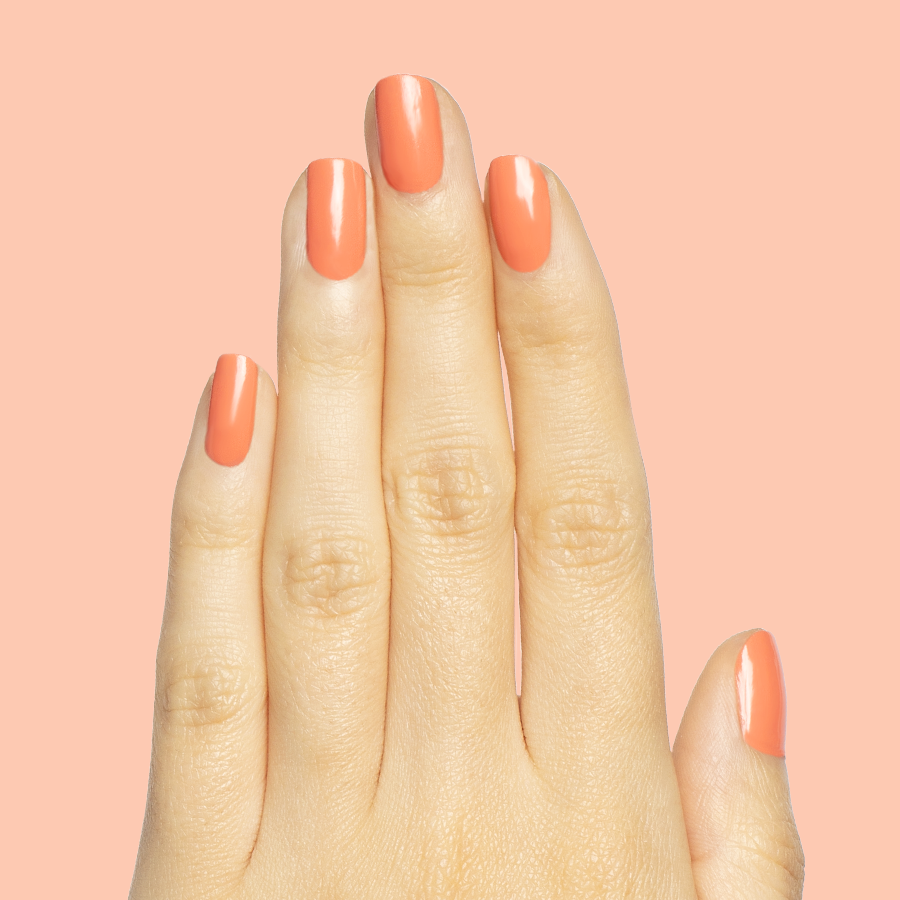 Ride into the Sunset、mySite、solidvoid