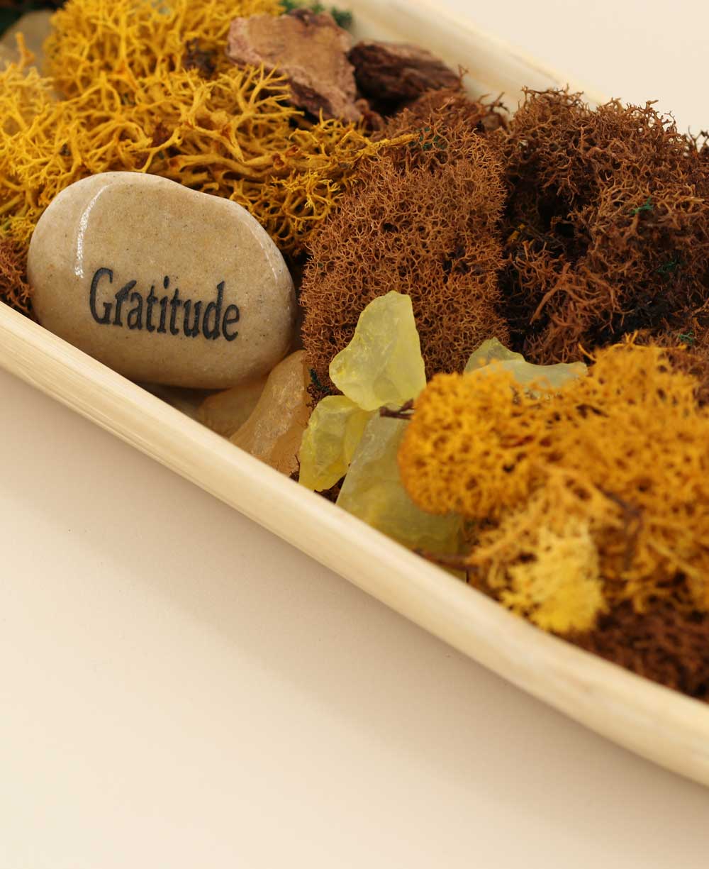 Buddha Gratitude Terrarium – Peaceful Serenity in Nature、mySite、topwebapps