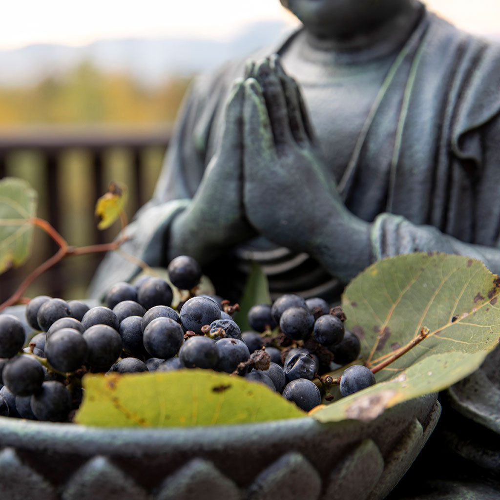 Buddhist Garden Statue: Monk with Bowl、mySite、topwebapps