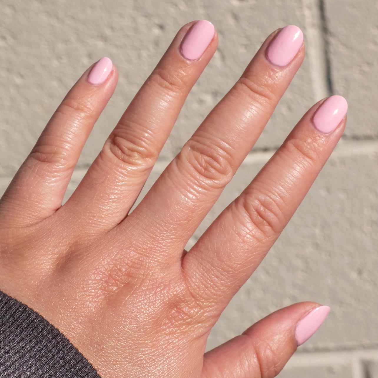 SE、mySite、solidvoid