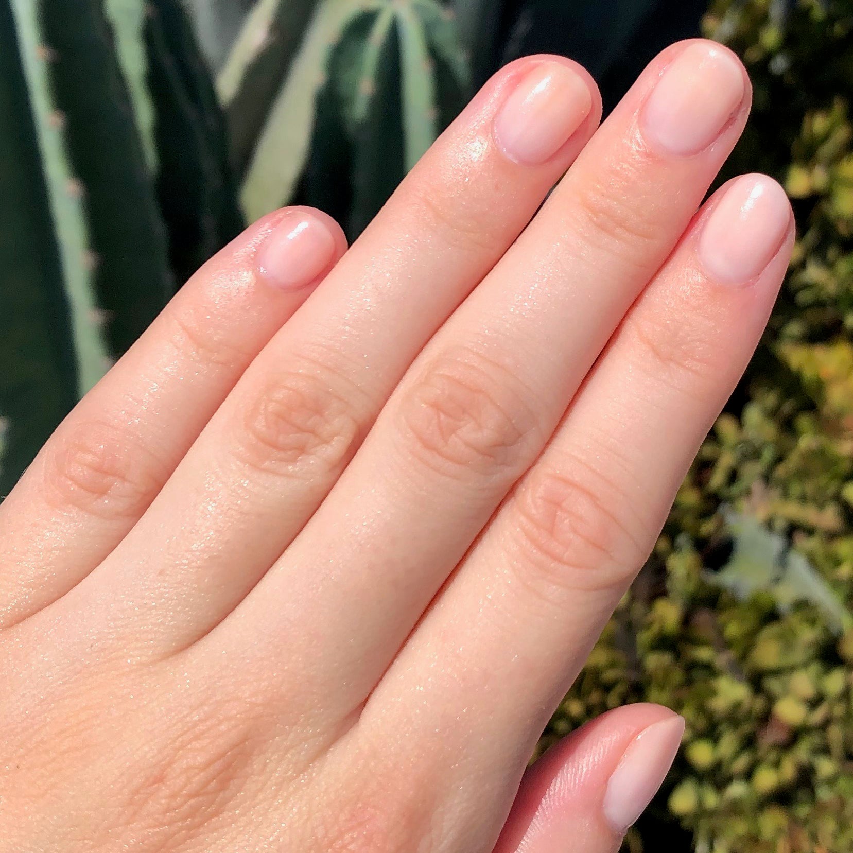 EC、mySite、solidvoid