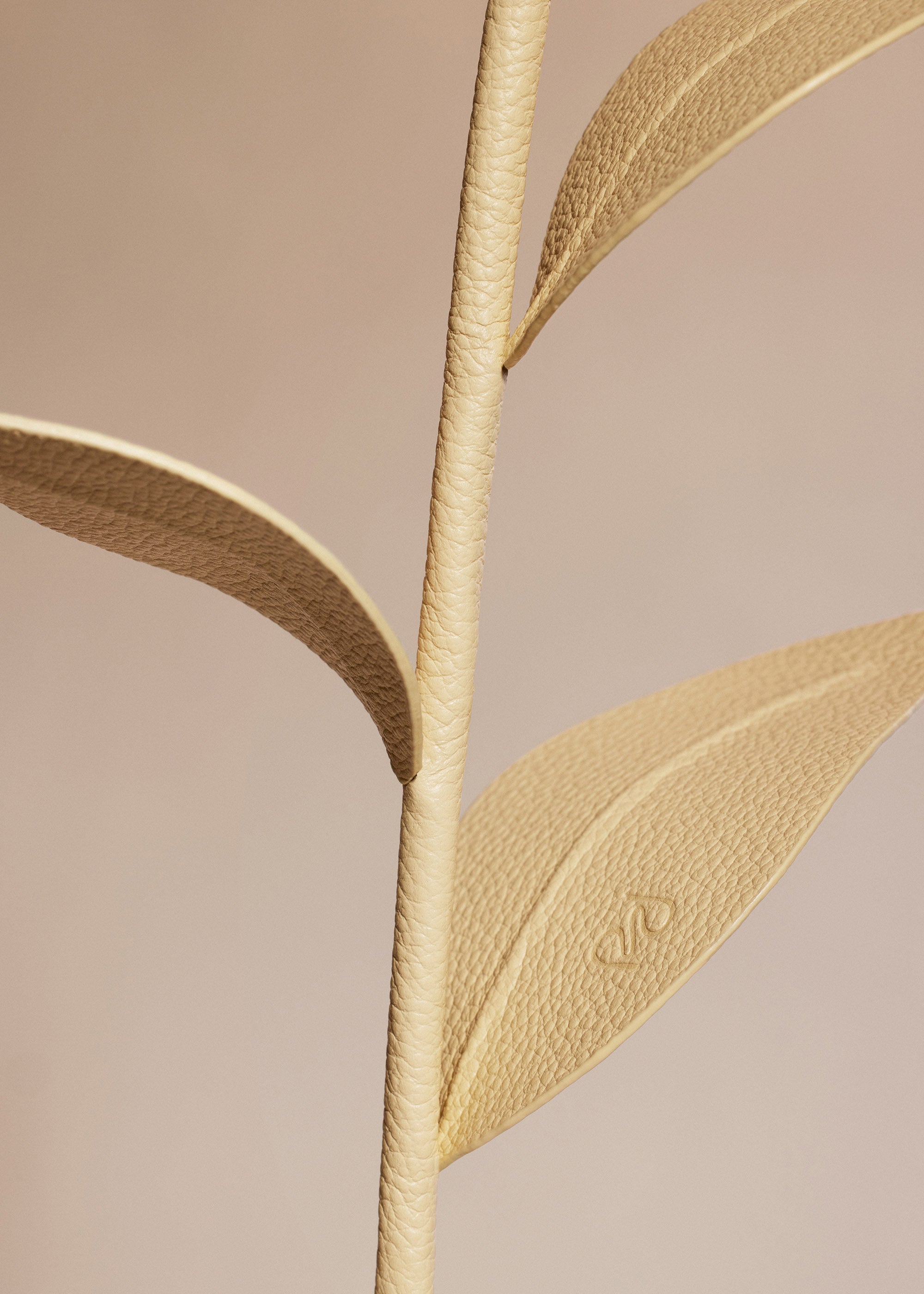 Fleur Dalium - Duo Bl茅 Grain茅、mySite、camillekostekn