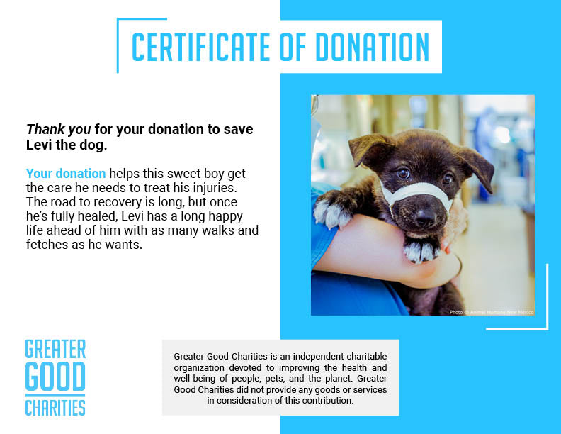 Funded: Help Fix Levi��s Broken Jaw、mySite、camillekostekn