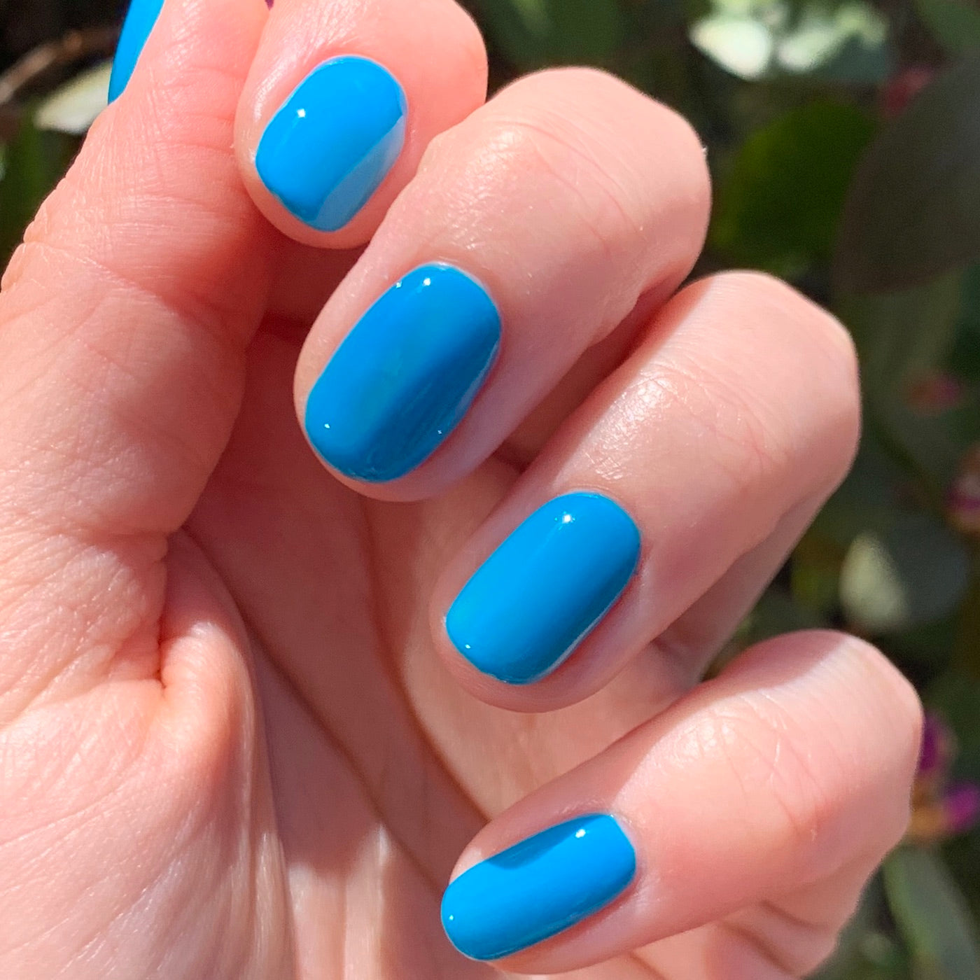 Blueberry Smash - Part of Set、mySite、solidvoid