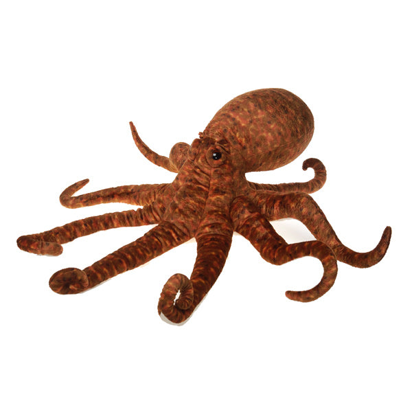 33 Giant Brown Octopus、mySite、g9winljtr